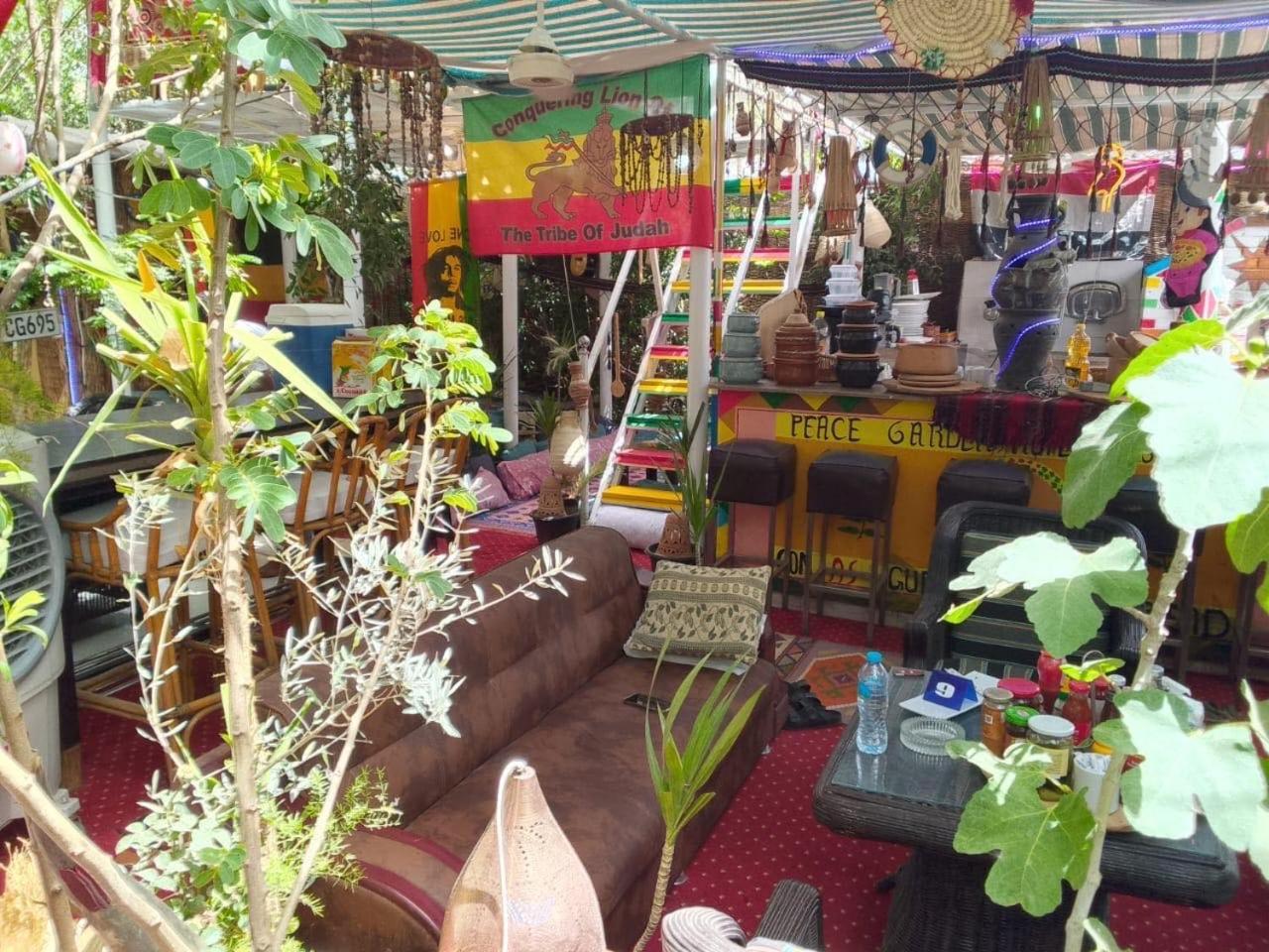 Peace Garden Hostel & Camp Λούξορ Εξωτερικό φωτογραφία