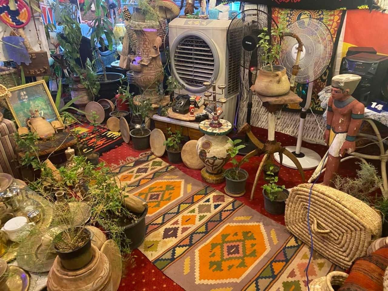Peace Garden Hostel & Camp Λούξορ Εξωτερικό φωτογραφία