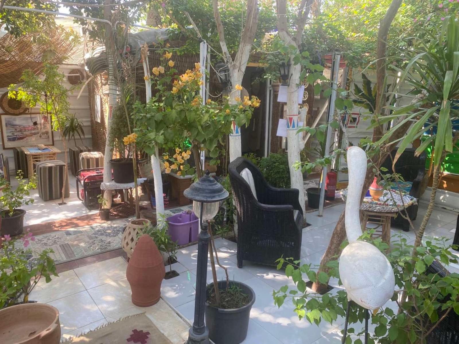 Peace Garden Hostel & Camp Λούξορ Εξωτερικό φωτογραφία