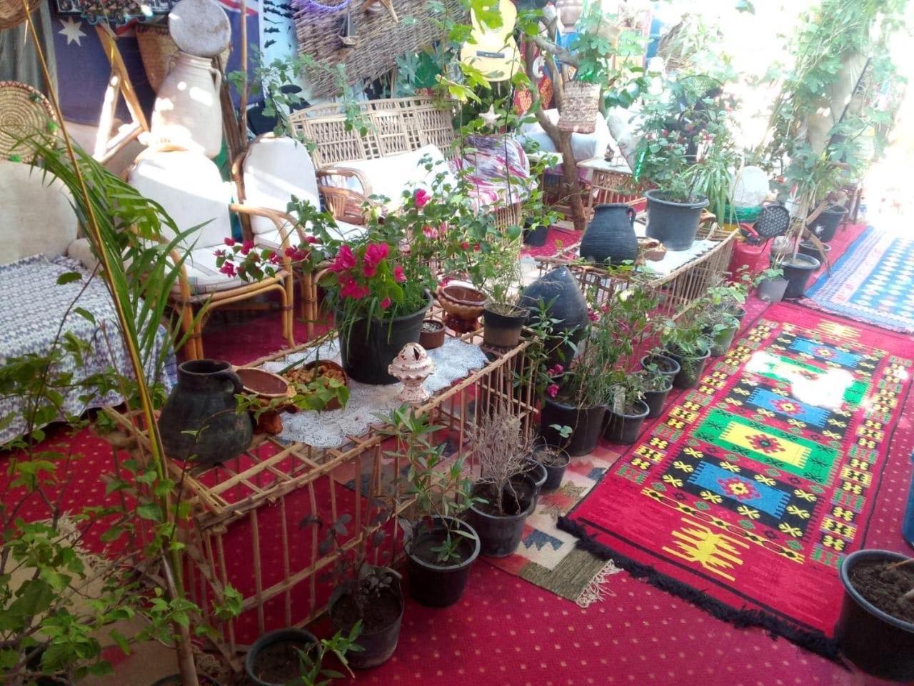 Peace Garden Hostel & Camp Λούξορ Εξωτερικό φωτογραφία
