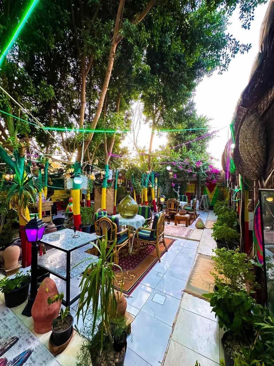 Peace Garden Hostel & Camp Λούξορ Εξωτερικό φωτογραφία
